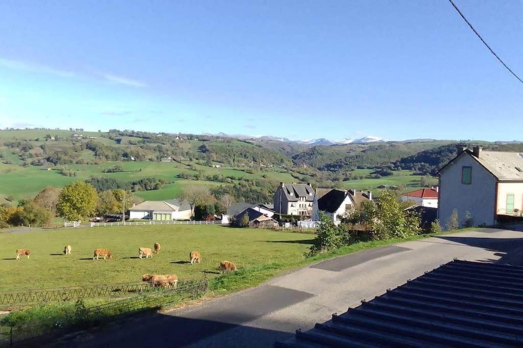 Puy Chavaroche Met Uniek Uitzicht Saint-Cernin (Cantal)