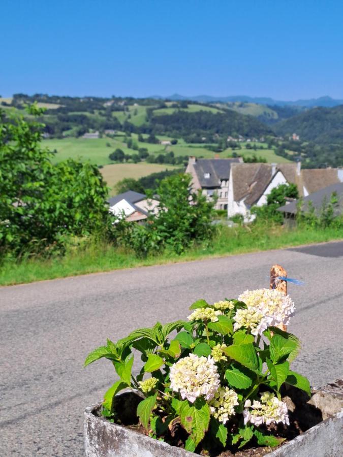 Puy Chavaroche Met Uniek Uitzicht Holiday home